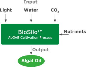 BioSilo Process Chart